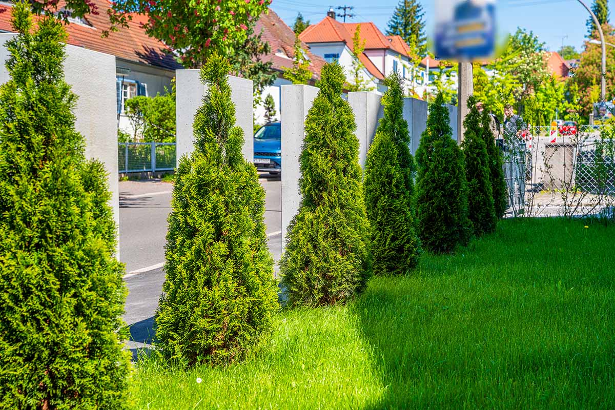 Gartenbau Ludwigsburg – Bild 2