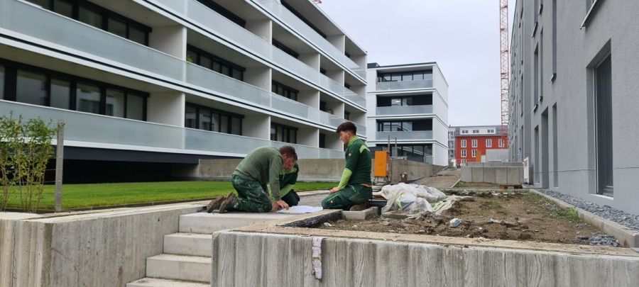 Aalen: Terrassen, Treppen, Sichtbetonmauer, Tiefgaragen-Begrünung, Fahrbereiche